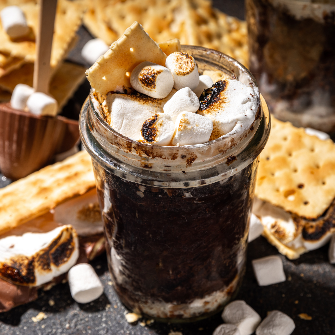 S’MORES PROTEIN MUG CAKE